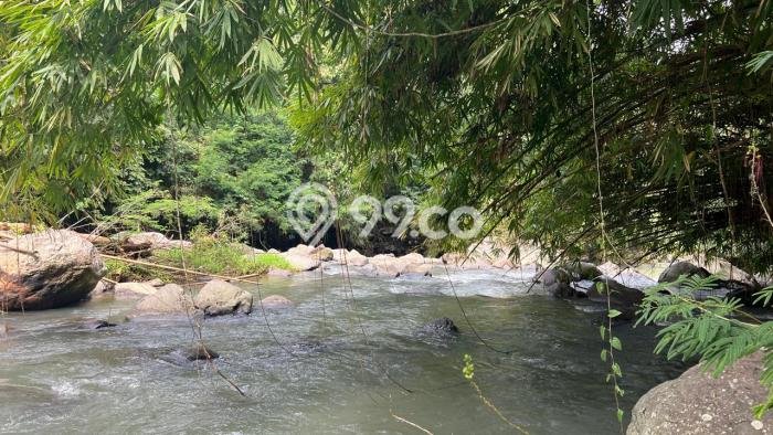 Lahan Dijual Lokasi Penebel, Tabanan dengan Luas Tanah 10500m2 dan Status SHM Lahan Dijual Lokasi Penebel, Tabanan dengan Luas Tanah 10500m2 dan Status SHM