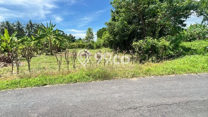 Tanah Dijual di Tabanan Seluas 500m2 Strategis Tanah Dijual di Tabanan Seluas 500m2 Strategis