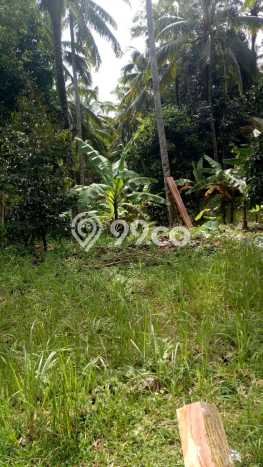 Kavling Tanah di Tabanan Dijual Luas 5000m2 Legalitas SHM Kavling Tanah di Tabanan Dijual Luas 5000m2 Legalitas SHM