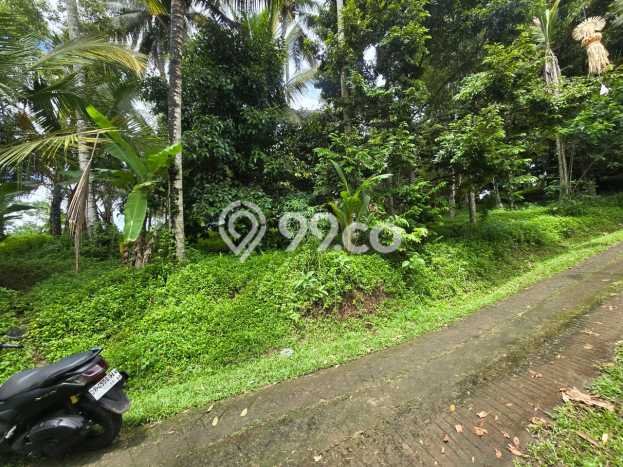 Tanah di Selemadeg, Tabanan Luas 1700m2 Dijual Segera Tanah di Selemadeg, Tabanan Luas 1700m2 Dijual Segera