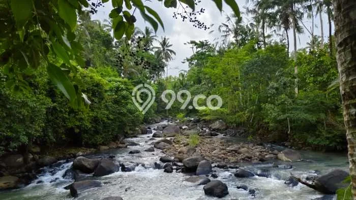 Tanah untuk Dijual di Penebel Tabanan Luas 5400m2 Tanah untuk Dijual di Penebel Tabanan Luas 5400m2