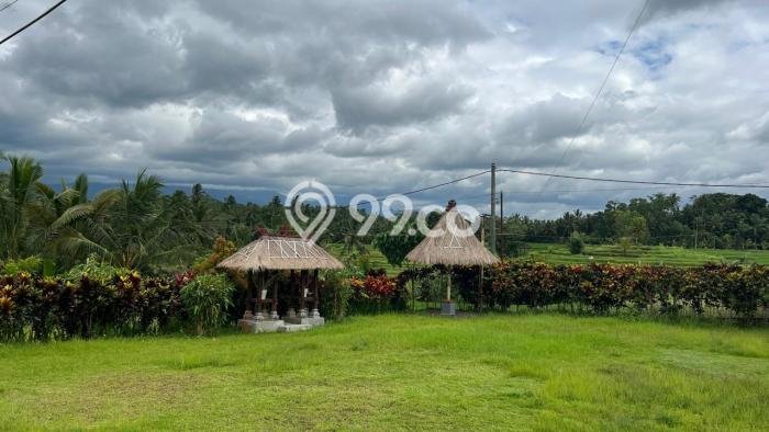 Lahan Kosong Dijual di Tabanan dengan Area 2500m2 Lahan Kosong Dijual di Tabanan dengan Area 2500m2