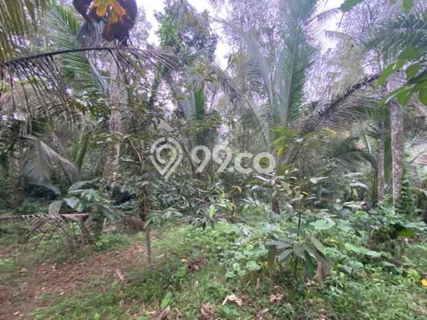 Tanah Dijual Lokasi Selemadeg, Tabanan dengan Luas Tanah 4300m2 dan Status SHM Tanah Dijual Lokasi Selemadeg, Tabanan dengan Luas Tanah 4300m2 dan Status SHM