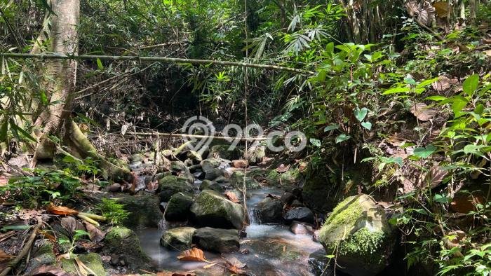 Untuk Dijual Tanah di Tabanan, Luas 6000m2 SHM Untuk Dijual Tanah di Tabanan, Luas 6000m2 SHM
