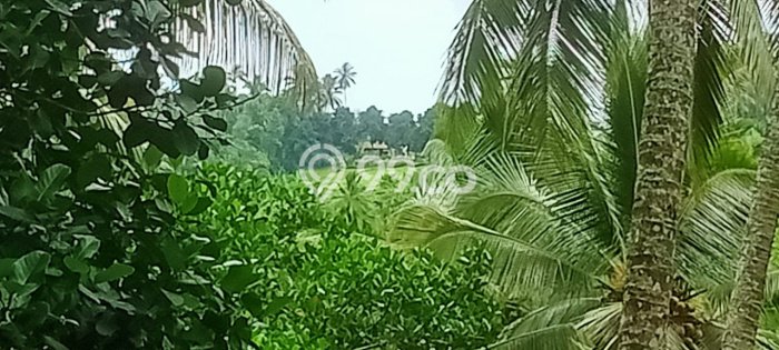 Jarang Ada! Tanah di Selemadeg Punya Luas 11500m2 SHM Jarang Ada! Tanah di Selemadeg Punya Luas 11500m2 SHM