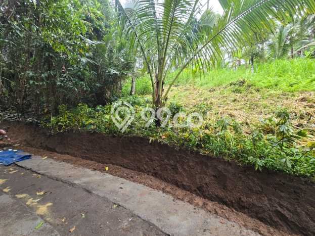 Tanah untuk Dijual Lokasi Selemadeg, Tabanan Luas 12000m2 SHM Tanah untuk Dijual Lokasi Selemadeg, Tabanan Luas 12000m2 SHM