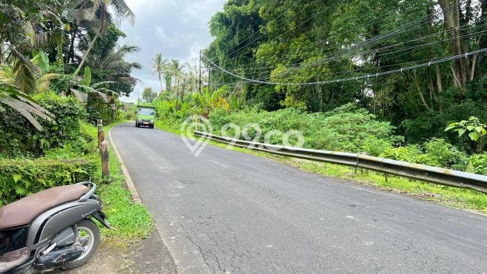 Tanah Kavling Dijual di Tabanan dengan Spesifikasi 1000m2 Tanah Kavling Dijual di Tabanan dengan Spesifikasi 1000m2