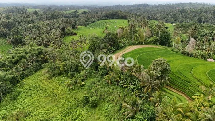 Untuk Dijual Tanah 10600m2 di Dalang, Tabanan Untuk Dijual Tanah 10600m2 di Dalang, Tabanan
