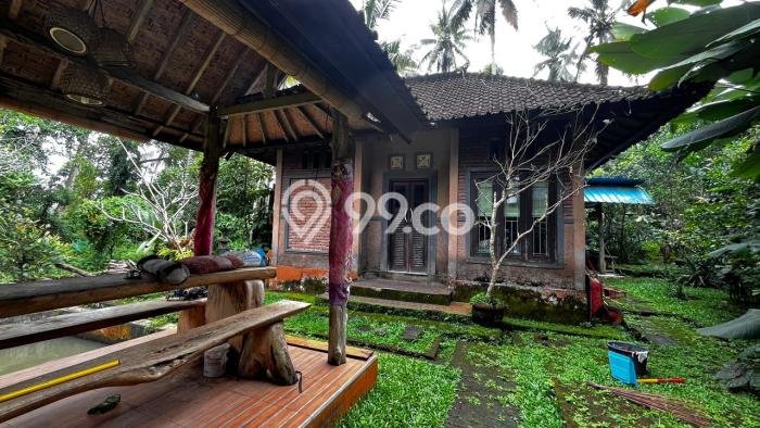Kavling Tanah untuk Dijual di Bajera, Tabanan, Luas 330m2 Kavling Tanah untuk Dijual di Bajera, Tabanan, Luas 330m2