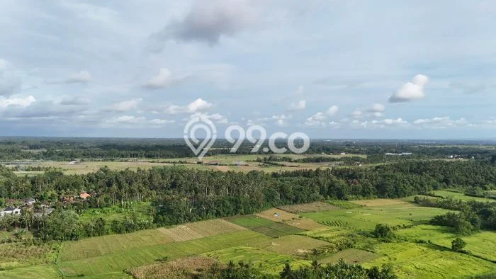 Kavling Tanah untuk Dijual di Bantas, Tabanan, Luas 5000m2 Kavling Tanah untuk Dijual di Bantas, Tabanan, Luas 5000m2