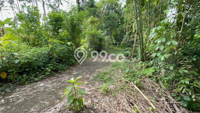Tanah untuk Dijual di Selemadeg Tabanan Luas 1000m2 Tanah untuk Dijual di Selemadeg Tabanan Luas 1000m2