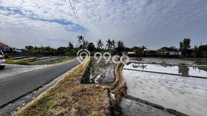 Lahan Kosong Dijual di Kerambitan, Tabanan, Luas 500m2 Area Strategis Lahan Kosong Dijual di Kerambitan, Tabanan, Luas 500m2 Area Strategis
