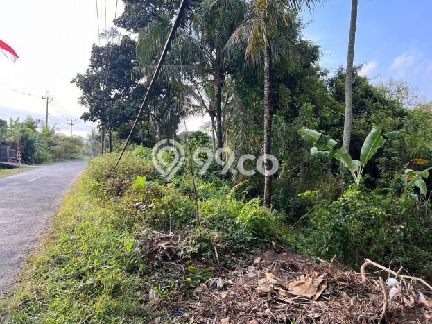 Tanah di Selemadeg, Tabanan Luas 850m2 Dijual Segera Tanah di Selemadeg, Tabanan Luas 850m2 Dijual Segera