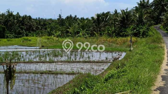 Tanah Kavling untuk Dijual di Selemadeg Tabanan 500m2 Tanah Kavling untuk Dijual di Selemadeg Tabanan 500m2