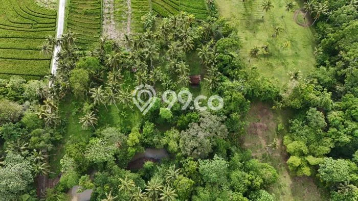 Tanah untuk Dijual di Selemadeg Tabanan Luas 1000m2 Tanah untuk Dijual di Selemadeg Tabanan Luas 1000m2