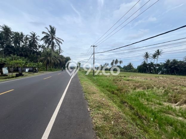 Tanah Dijual di Tabanan Seluas 1800m2 Strategis Tanah Dijual di Tabanan Seluas 1800m2 Strategis