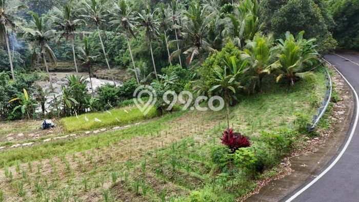 Tanah untuk Dijual Lokasi Selemadeg, Tabanan Luas 3000m2 SHM Tanah untuk Dijual Lokasi Selemadeg, Tabanan Luas 3000m2 SHM