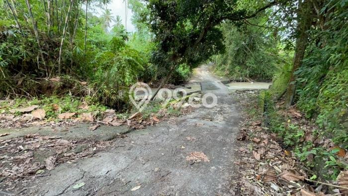 Tanah untuk Dijual di Selemadeg Tabanan Luas 1000m2 Tanah untuk Dijual di Selemadeg Tabanan Luas 1000m2