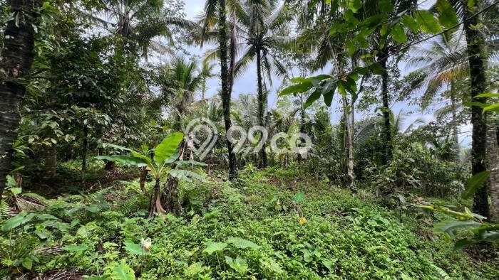 Lahan untuk Dijual Lokasi Penebel, Tabanan Luas 4500m2 SHM Lahan untuk Dijual Lokasi Penebel, Tabanan Luas 4500m2 SHM