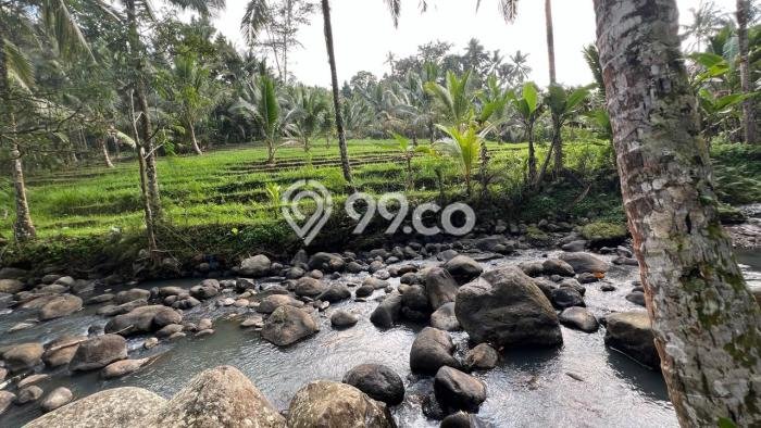 Tanah Dijual Lokasi Selemadeg, Tabanan dengan Luas Tanah 960m2 dan Status SHM Tanah Dijual Lokasi Selemadeg, Tabanan dengan Luas Tanah 960m2 dan Status SHM