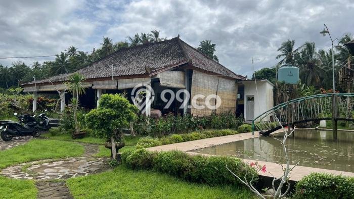 Lahan Kosong Dijual di Tabanan dengan Area 2500m2 Lahan Kosong Dijual di Tabanan dengan Area 2500m2
