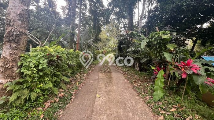 Tanah Kavling Dijual di Belimbing, Tabanan dengan Luas Tanah 900m2 Tanah Kavling Dijual di Belimbing, Tabanan dengan Luas Tanah 900m2