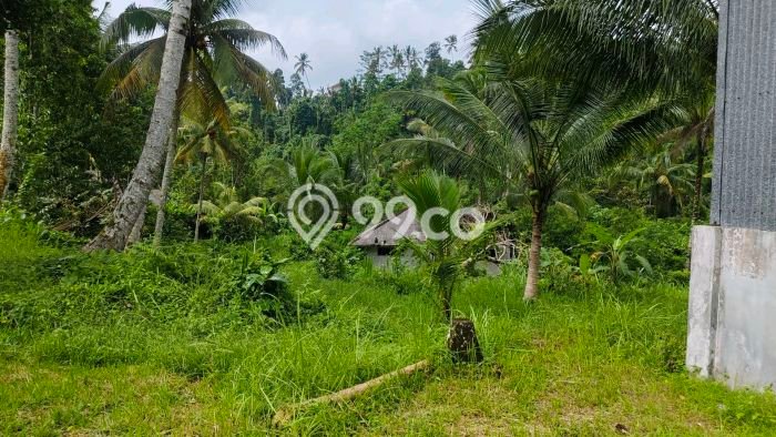 Kavling Tanah Dijual di Penebel Tabanan Spesifikasi 10500m2 Kavling Tanah Dijual di Penebel Tabanan Spesifikasi 10500m2
