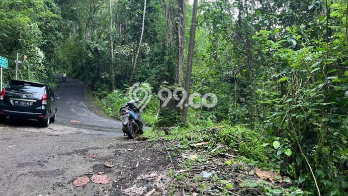 Tanah Kavling untuk Dijual di Tabanan Tabanan 4000m2 Tanah Kavling untuk Dijual di Tabanan Tabanan 4000m2