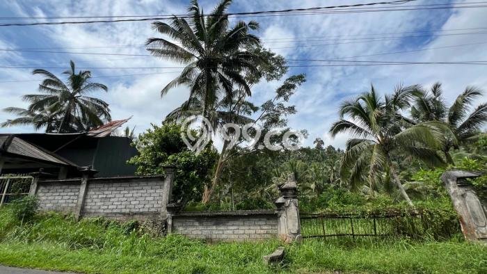 Lahan Dijual Lokasi Penebel, Tabanan dengan Luas Tanah 10500m2 dan Status SHM Lahan Dijual Lokasi Penebel, Tabanan dengan Luas Tanah 10500m2 dan Status SHM