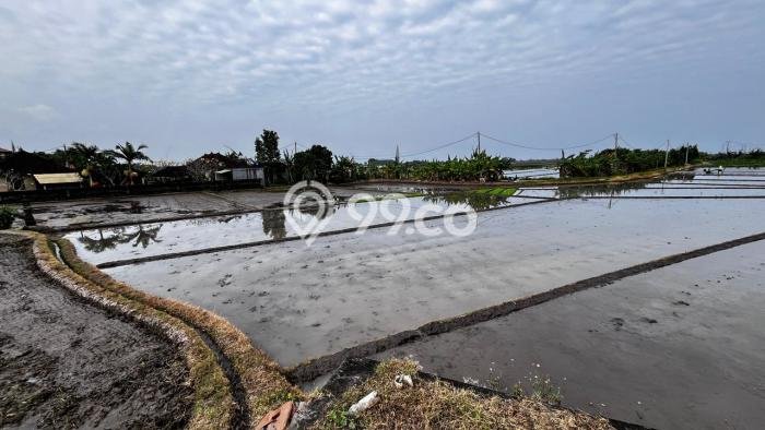 Lahan Kosong Dijual di Kerambitan, Tabanan, Luas 500m2 Area Strategis Lahan Kosong Dijual di Kerambitan, Tabanan, Luas 500m2 Area Strategis