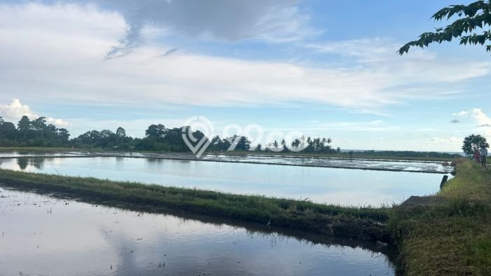 Lahan Dijual Lokasi Kerambitan, Tabanan dengan Luas Tanah 2520m2 dan Status SHM Lahan Dijual Lokasi Kerambitan, Tabanan dengan Luas Tanah 2520m2 dan Status SHM