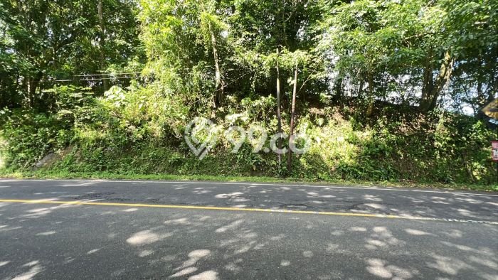 Tanah Kavling Dijual di Lalanglinggah, Tabanan dengan Luas Tanah 10205m2 Tanah Kavling Dijual di Lalanglinggah, Tabanan dengan Luas Tanah 10205m2