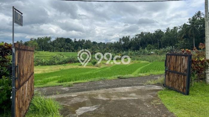 Lahan Kosong Dijual di Tabanan dengan Area 2500m2 Lahan Kosong Dijual di Tabanan dengan Area 2500m2