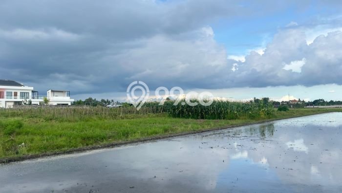 Lahan Dijual Lokasi Kerambitan, Tabanan dengan Luas Tanah 2520m2 dan Status SHM Lahan Dijual Lokasi Kerambitan, Tabanan dengan Luas Tanah 2520m2 dan Status SHM