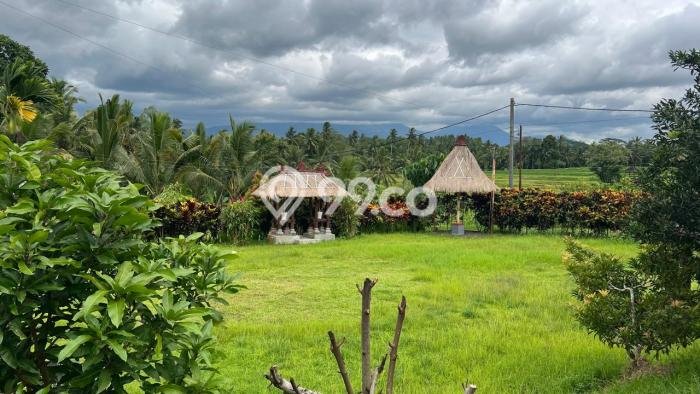 Lahan Kosong Dijual di Tabanan dengan Area 2500m2 Lahan Kosong Dijual di Tabanan dengan Area 2500m2