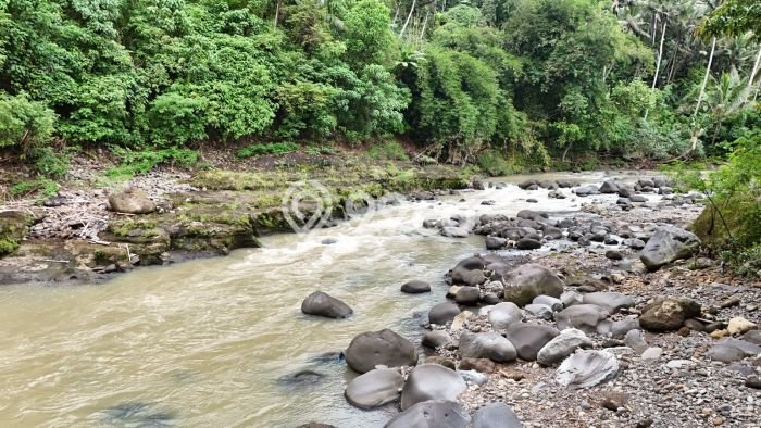 Tanah untuk Dijual Lokasi Selemadeg, Tabanan Luas 3000m2 SHM Tanah untuk Dijual Lokasi Selemadeg, Tabanan Luas 3000m2 SHM
