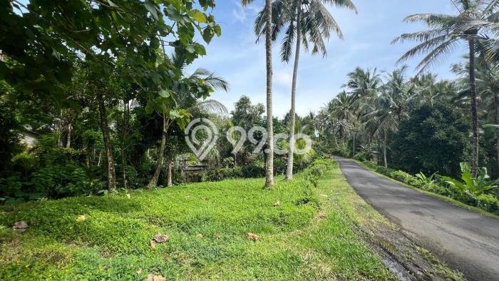 Lahan untuk Dijual Lokasi Tabanan, Tabanan Luas 330m2 SHM Lahan untuk Dijual Lokasi Tabanan, Tabanan Luas 330m2 SHM