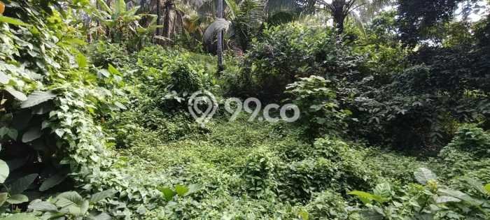 Tanah Dijual Area Strategis di Antap Tabanan 12000m2 Tanah Dijual Area Strategis di Antap Tabanan 12000m2