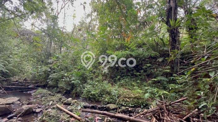 Tanah Dijual Lokasi Penebel, Tabanan dengan Luas Tanah 2000m2 dan Status SHM Tanah Dijual Lokasi Penebel, Tabanan dengan Luas Tanah 2000m2 dan Status SHM