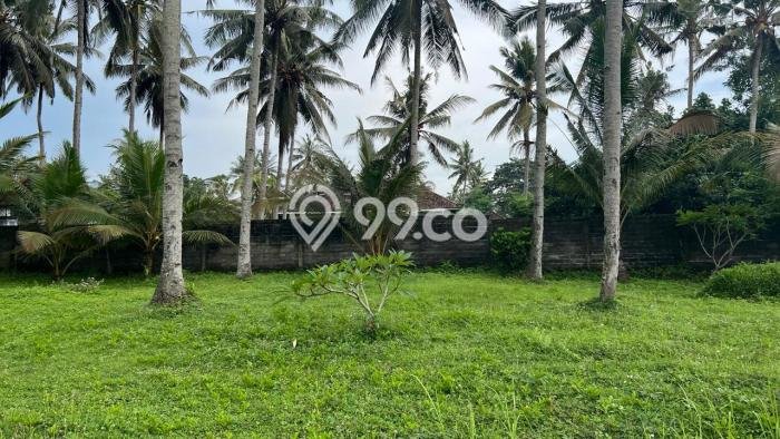 Tanah Dijual Lokasi Negara Jembrana SHM Tanah Dijual Lokasi Negara Jembrana SHM