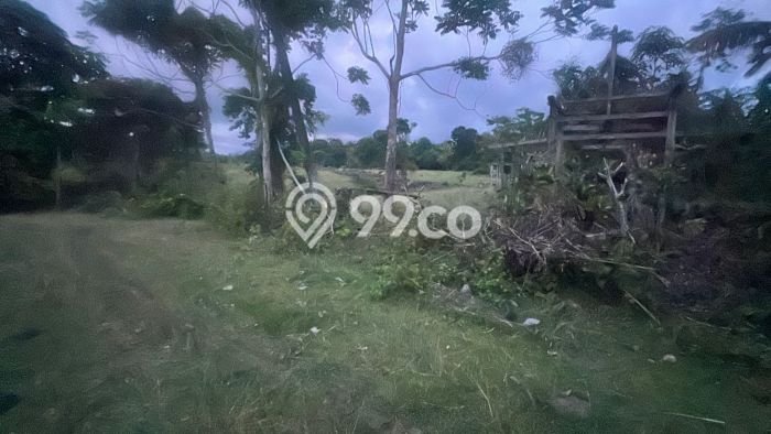 Tanah Strategis Dijual di Selemadeg Tabanan 16800m2 Tanah Strategis Dijual di Selemadeg Tabanan 16800m2