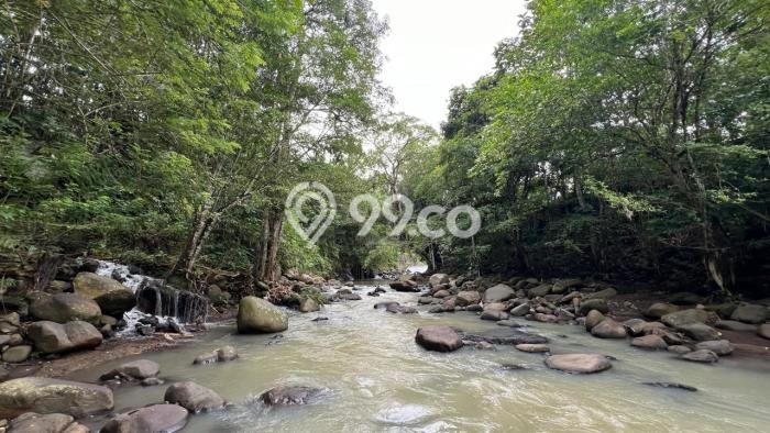 Tanah Kavling untuk Dijual di Tabanan Tabanan 4000m2 Tanah Kavling untuk Dijual di Tabanan Tabanan 4000m2