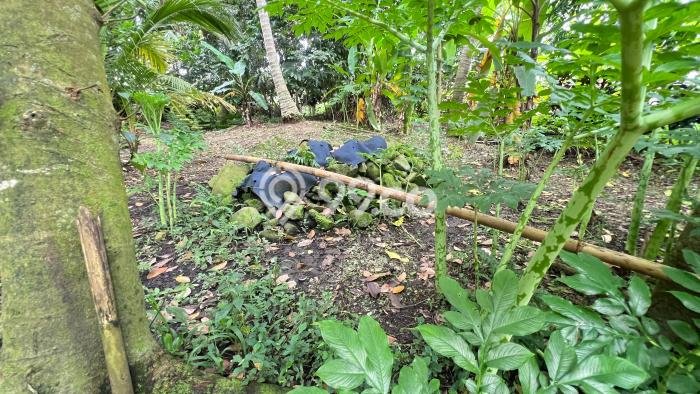Tanah Kavling Dijual di Tabanan dengan Spesifikasi 1000m2 Tanah Kavling Dijual di Tabanan dengan Spesifikasi 1000m2