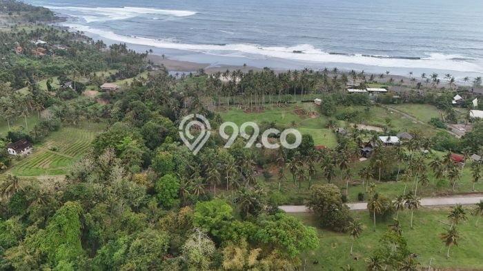 Kavling Tanah untuk Dijual di Lalanglinggah, Tabanan, Luas 1950m2 Kavling Tanah untuk Dijual di Lalanglinggah, Tabanan, Luas 1950m2