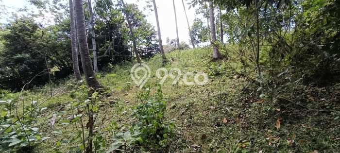 Tanah Dijual Area Strategis di Antap Tabanan 12000m2 Tanah Dijual Area Strategis di Antap Tabanan 12000m2