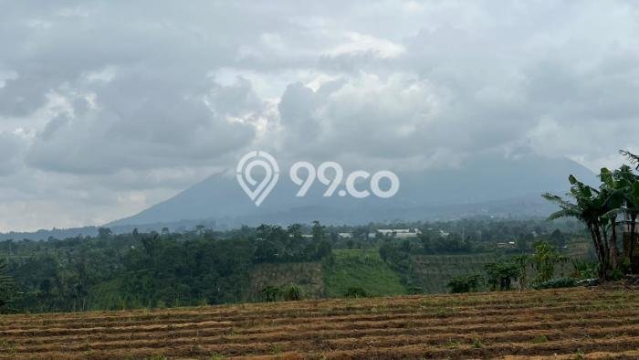 Kavling Tanah di Tabanan Dijual Luas 1000m2 Legalitas SHM Kavling Tanah di Tabanan Dijual Luas 1000m2 Legalitas SHM