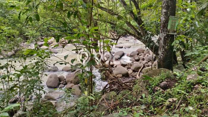 Tanah Kavling untuk Dijual di Tabanan Tabanan 4000m2 Tanah Kavling untuk Dijual di Tabanan Tabanan 4000m2