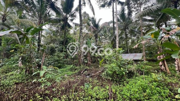 Lahan untuk Dijual Lokasi Penebel, Tabanan Luas 4500m2 SHM Lahan untuk Dijual Lokasi Penebel, Tabanan Luas 4500m2 SHM