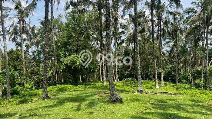 Dijual Tanah di Tabanan Tabanan Luas 16100m2 SHM Dijual Tanah di Tabanan Tabanan Luas 16100m2 SHM