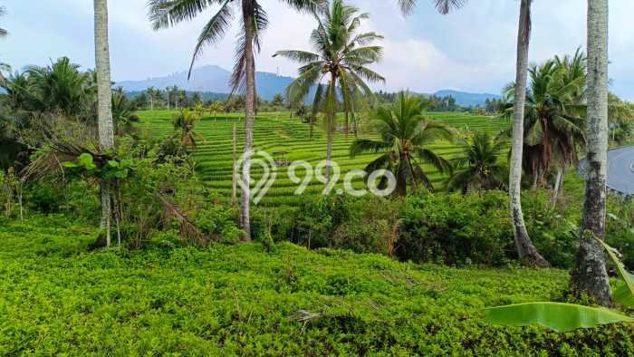 Lahan untuk Dijual Lokasi Selemadeg, Tabanan Luas 3000m2 SHM Lahan untuk Dijual Lokasi Selemadeg, Tabanan Luas 3000m2 SHM